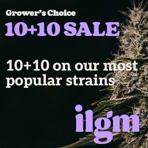 Looking for Cannabis Seeds?