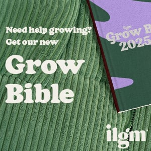 Looking for Cannabis Seeds?